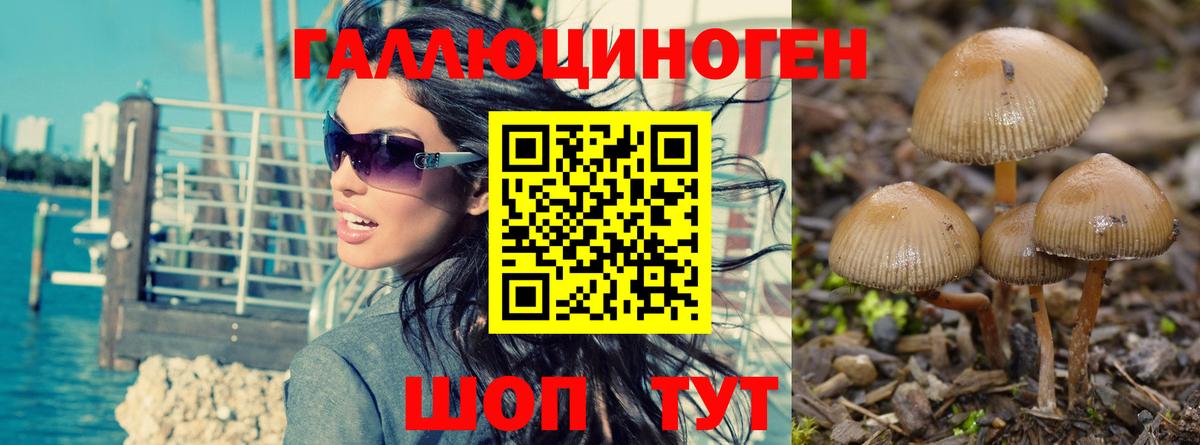 Псилоцибиновые грибы Psilocybe  где купить   Вход с VPN  Россошь  Галлюциногенные грибы Magic Shrooms 
